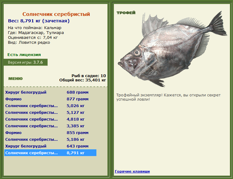 Заявки на рекорд 