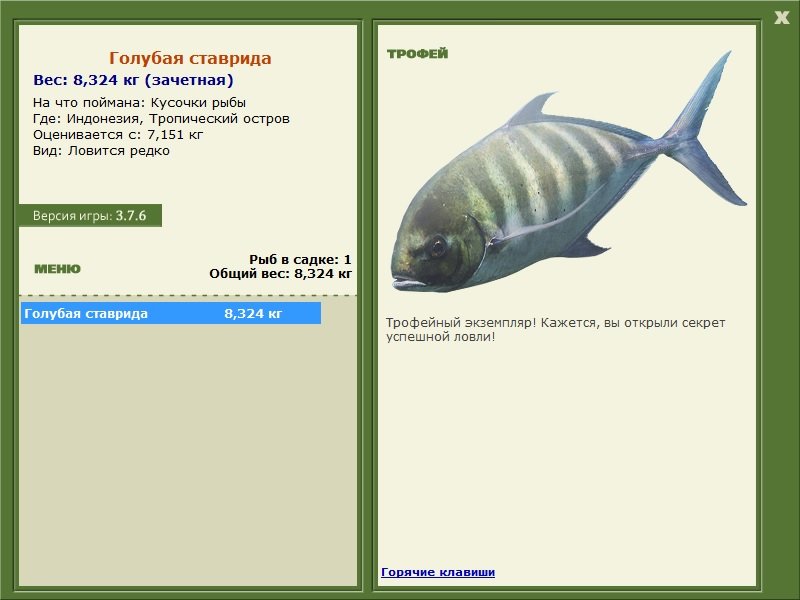 Тропический остров 