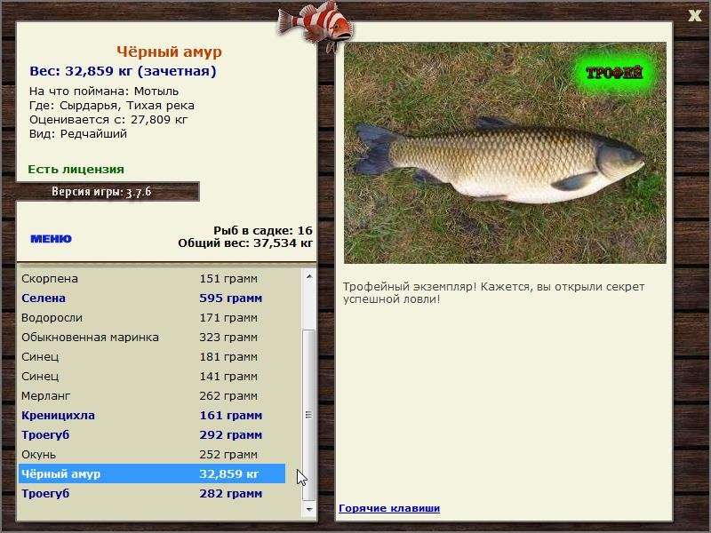 Тихая река 