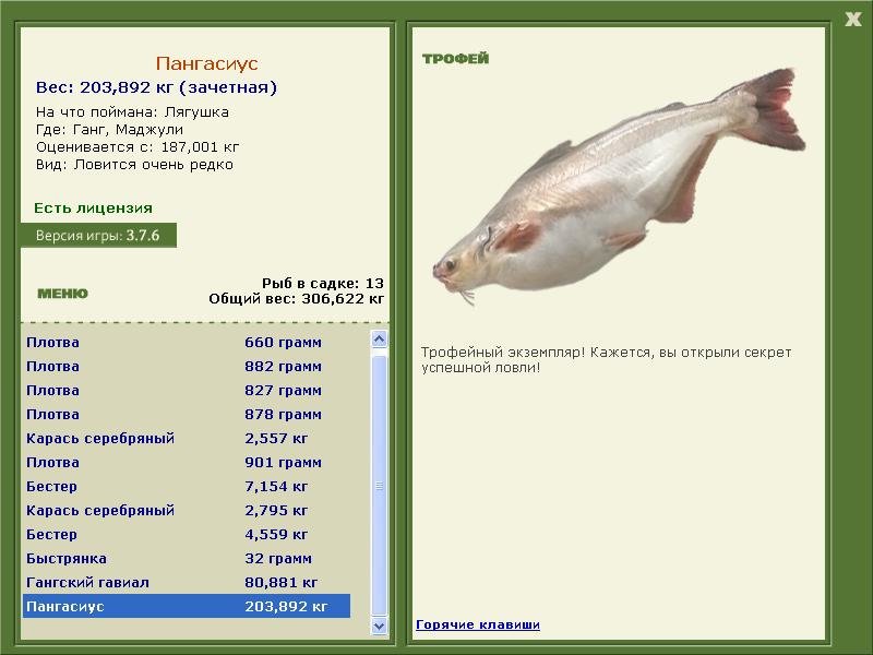 РУССКАЯ РЫБАЛКА Installsoft Edition 