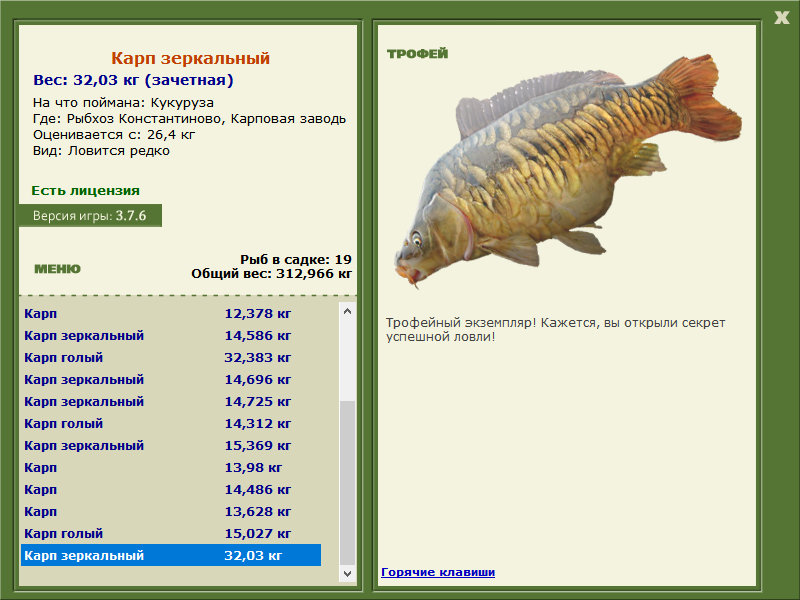 Карп зеркальный 