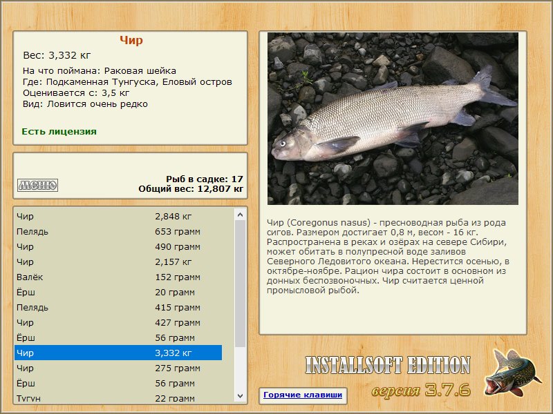 Еловый остров 
