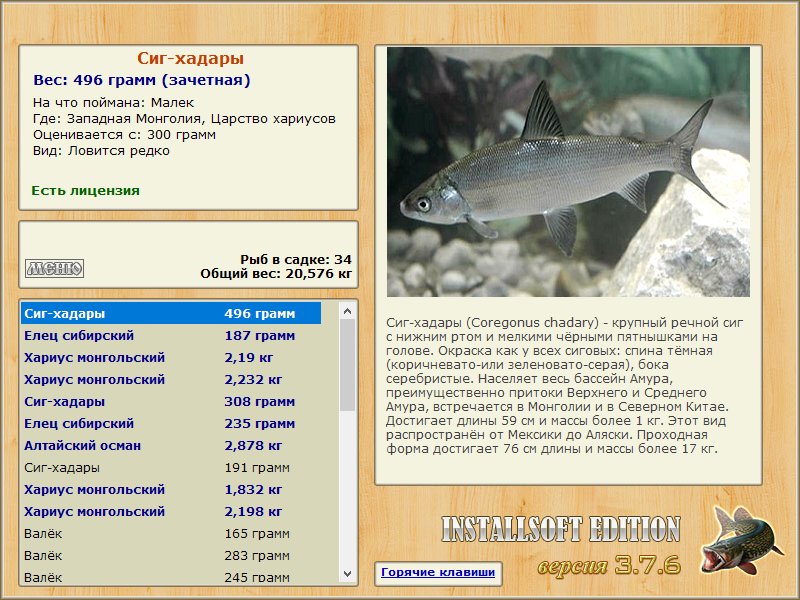 Царство хариусов 