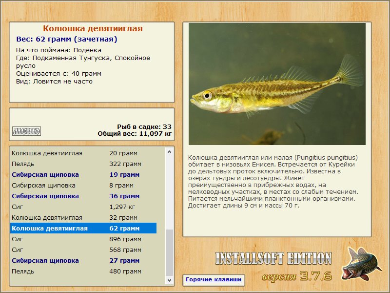 Спокойное русло 