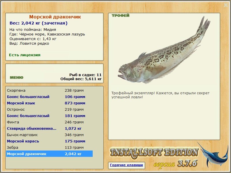 Морской дракончик 