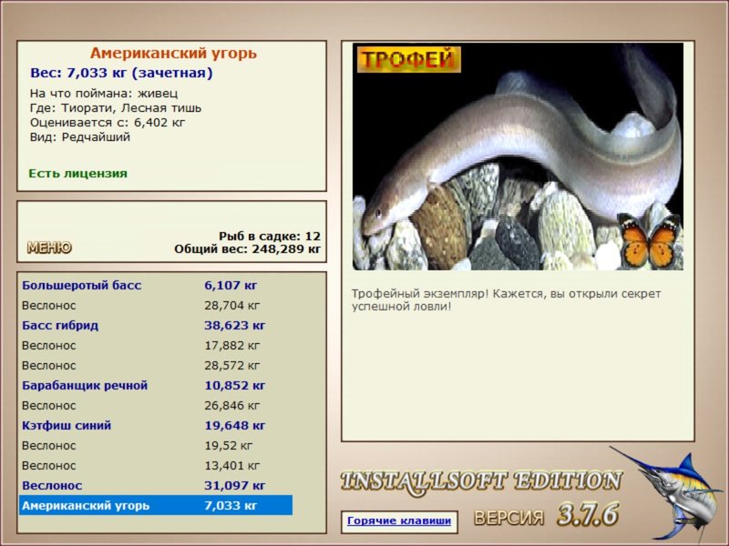 Лесная тишь 