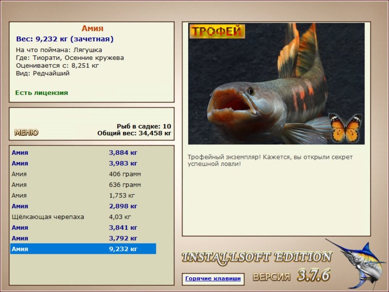 Осенние кружева 