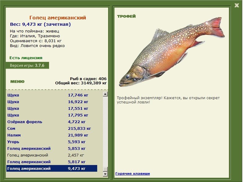 Голец американский 