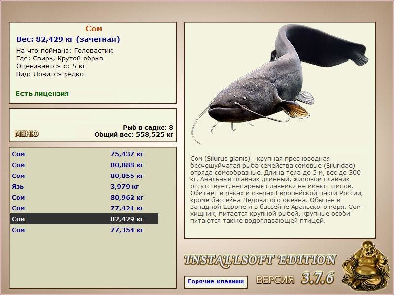 РУССКАЯ РЫБАЛКА Installsoft Edition 