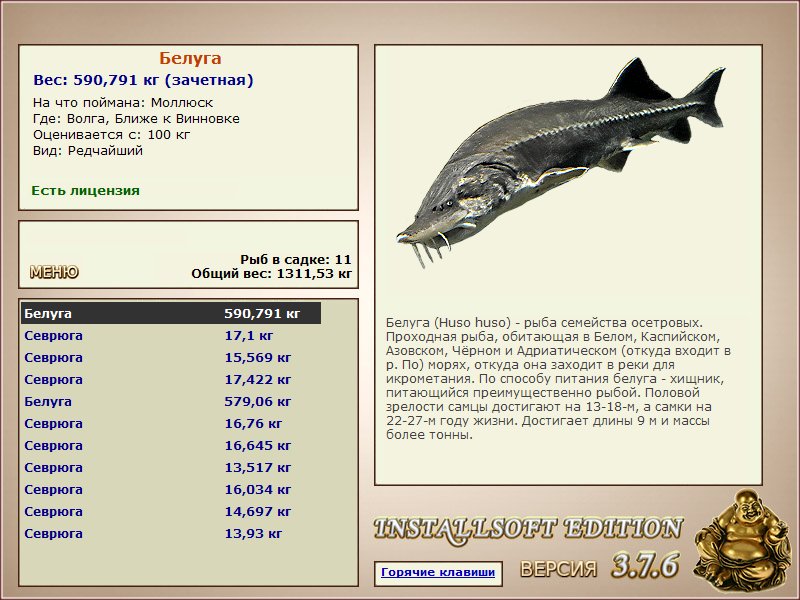 Ближе к Винновке 