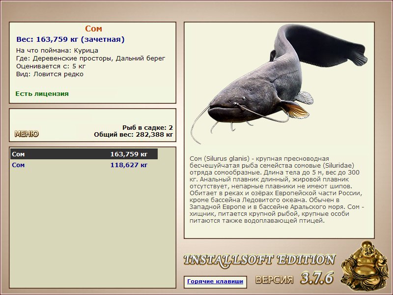 Дальний берег 