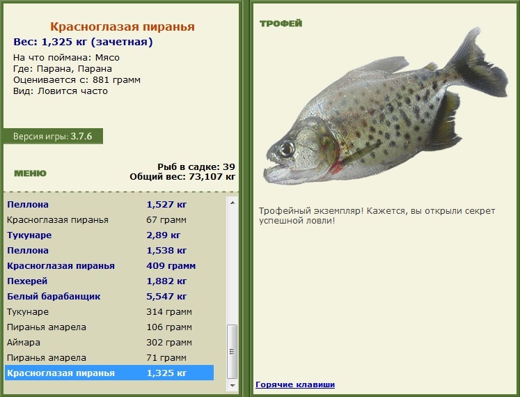 турниры • РУССКАЯ РЫБАЛКА