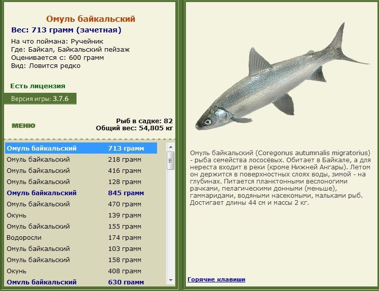 турниры • РУССКАЯ РЫБАЛКА