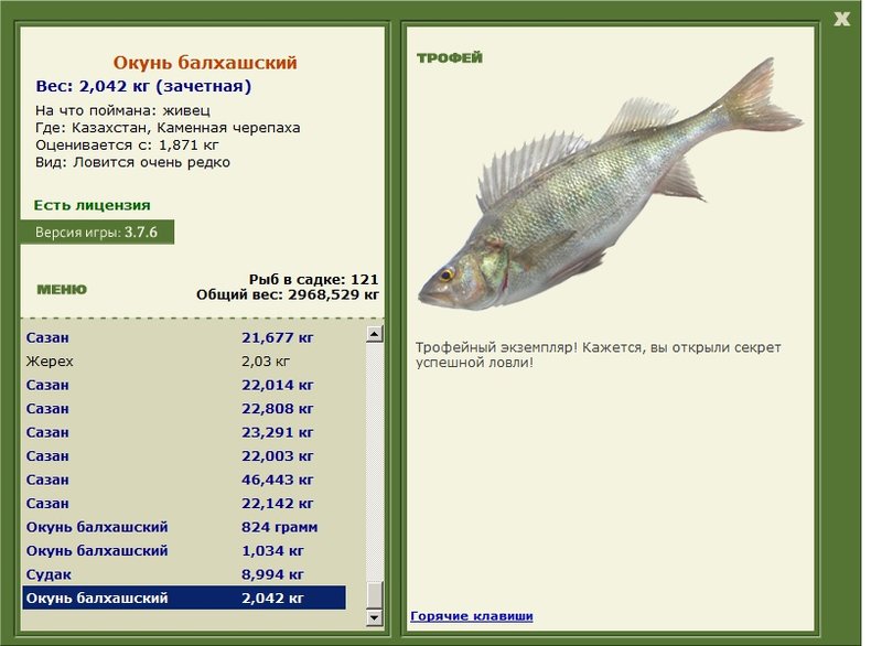 Окунь балхашский 