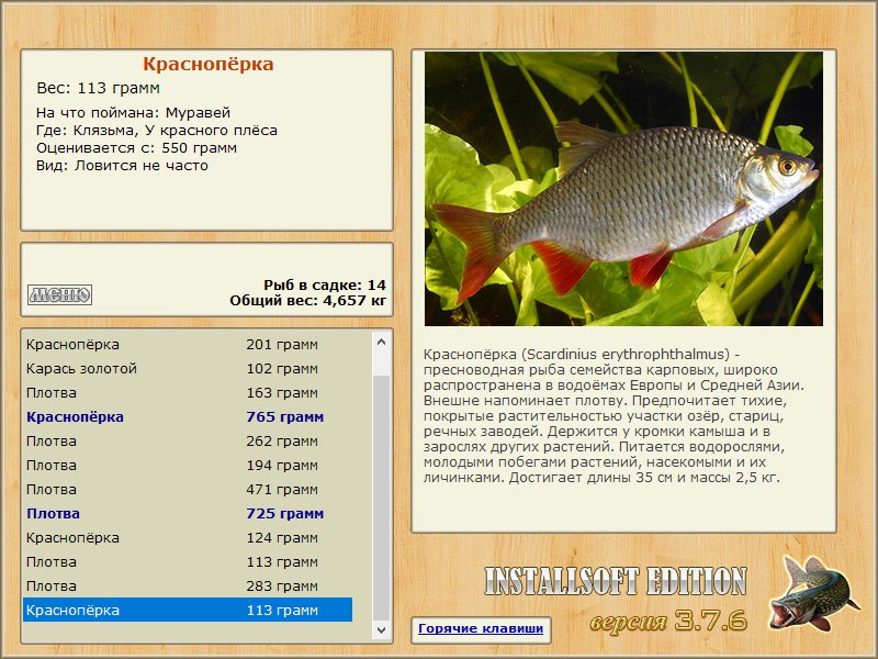 У красного плёса 
