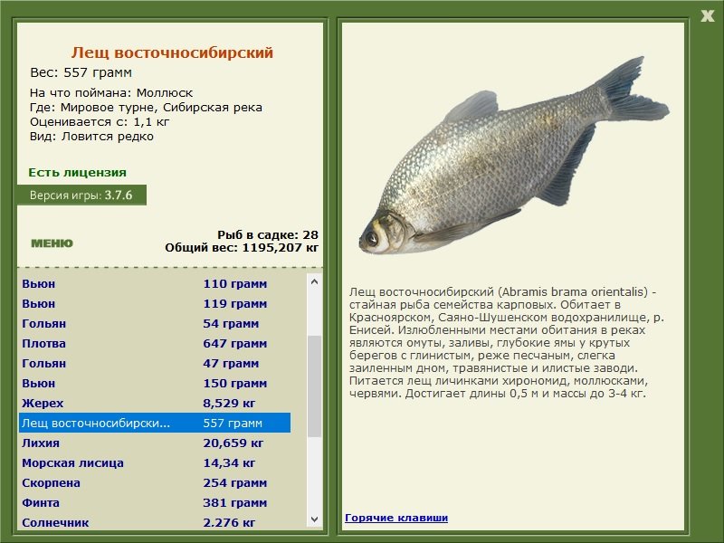 Сибирская река 