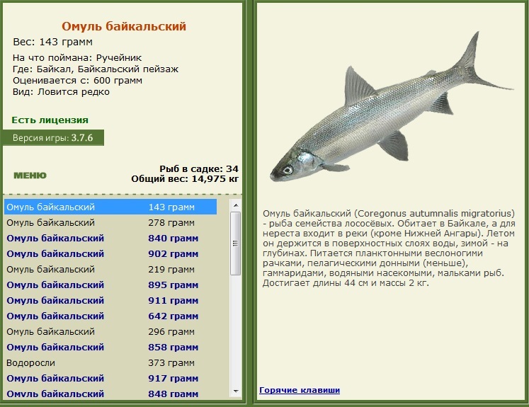 турниры • РУССКАЯ РЫБАЛКА