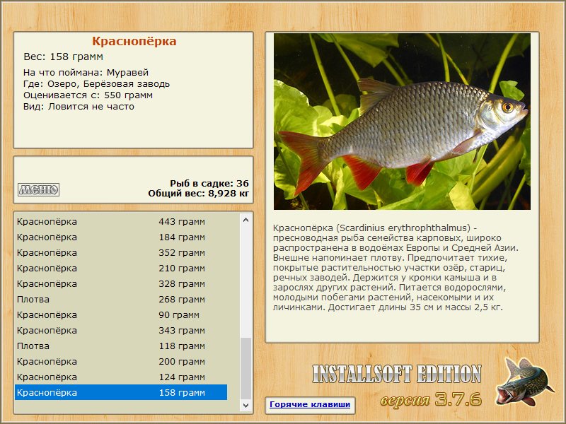 Берёзовая заводь 