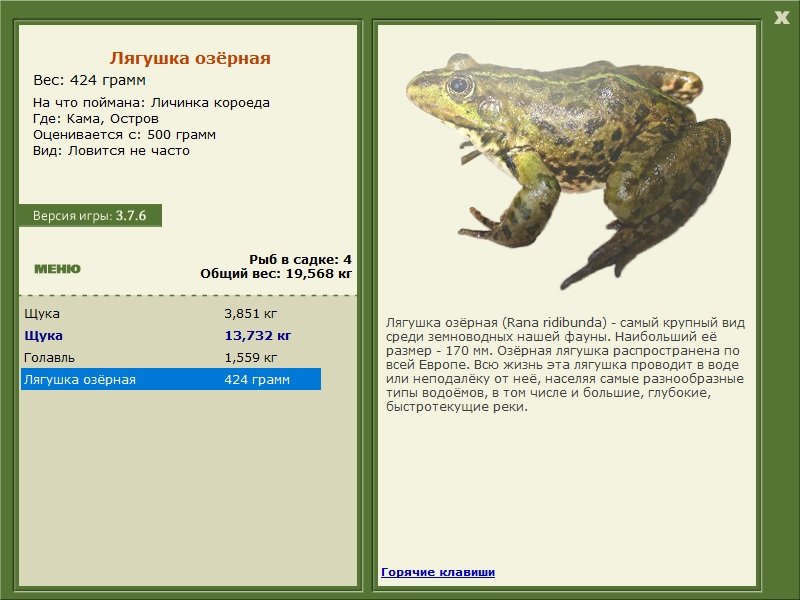 Остров 