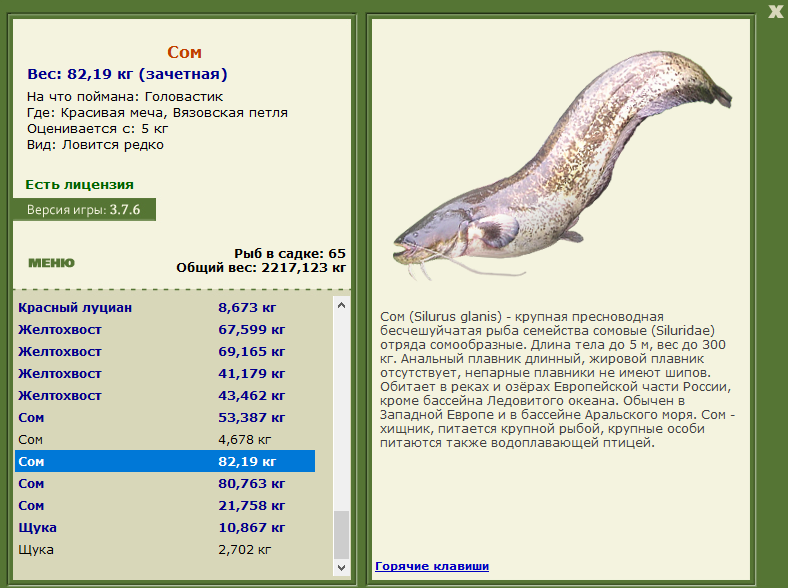Вязовская петля 