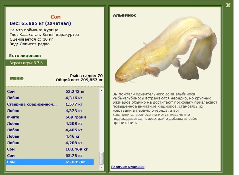 Земля каракуртов 