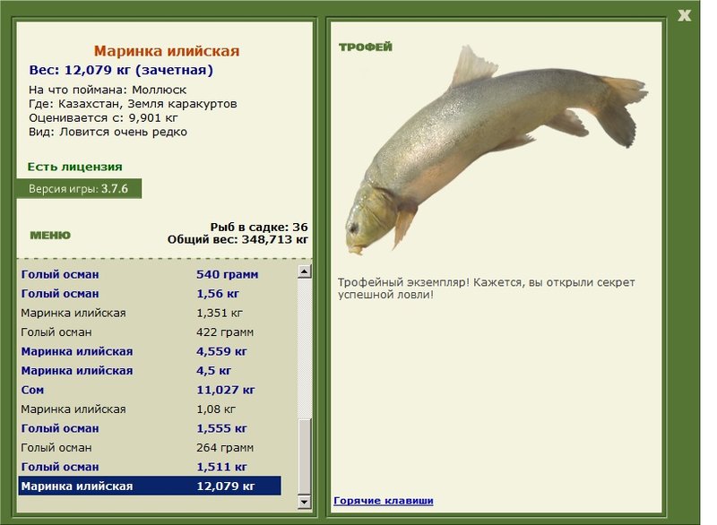 Земля каракуртов 