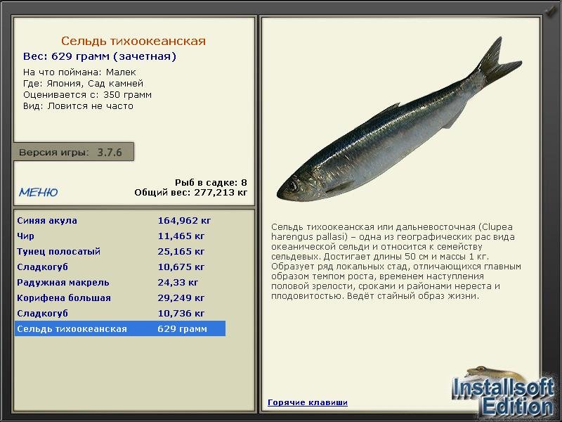 Сад камней 