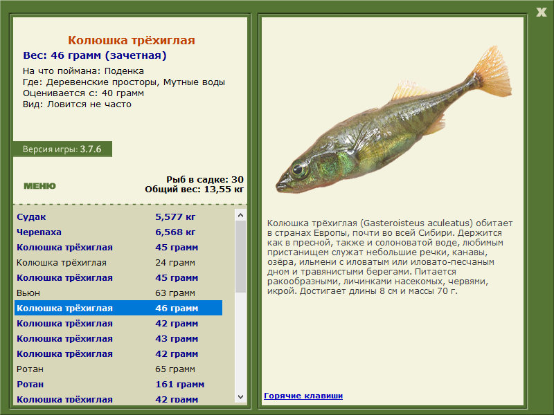 Деревенские просторы 