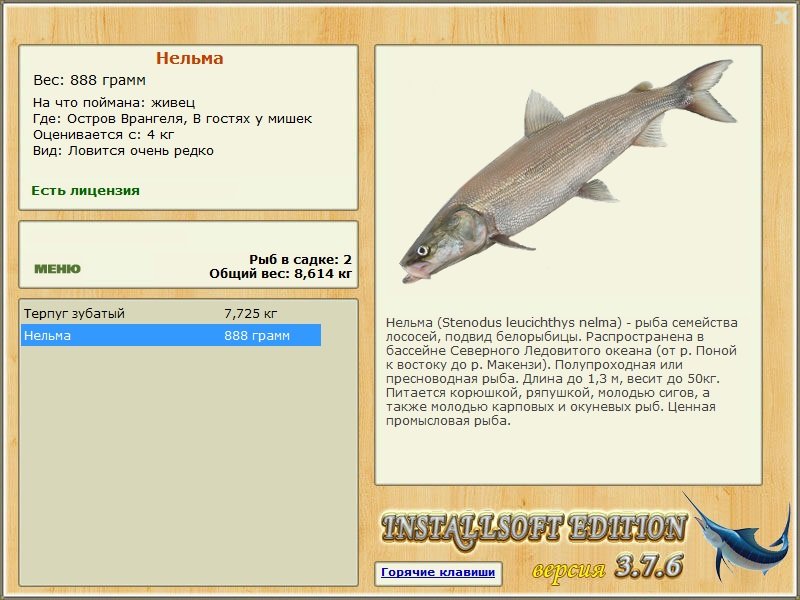 турниры • РУССКАЯ РЫБАЛКА
