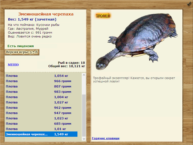 Кусочки рыбы 