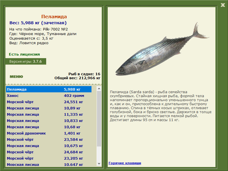 Чёрное море 