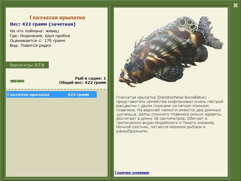 Шум прибоя 