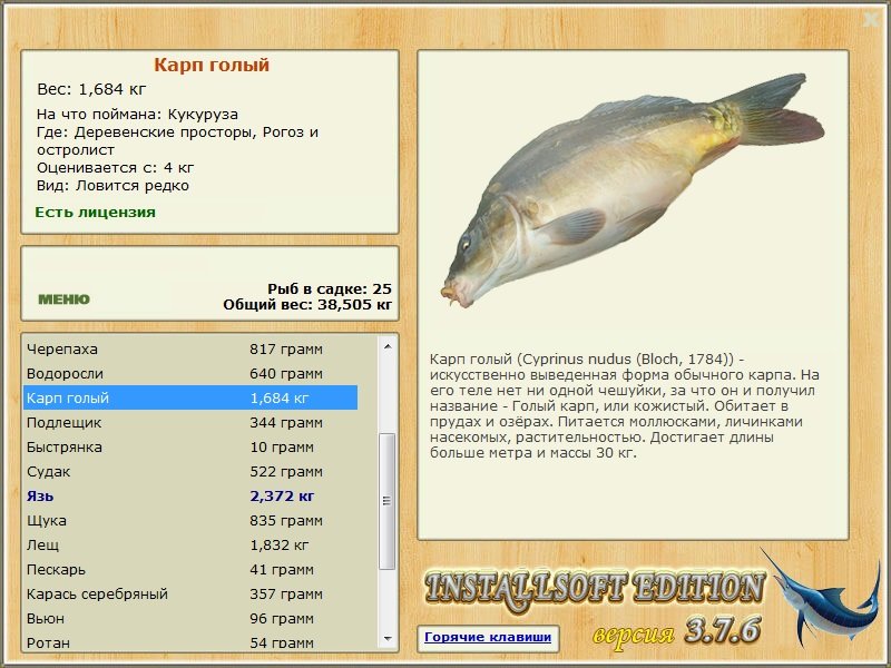 турниры • РУССКАЯ РЫБАЛКА