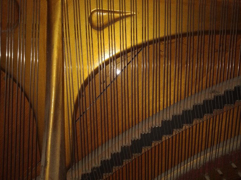  Фирмы-производители не найденные в Атласе номеров.