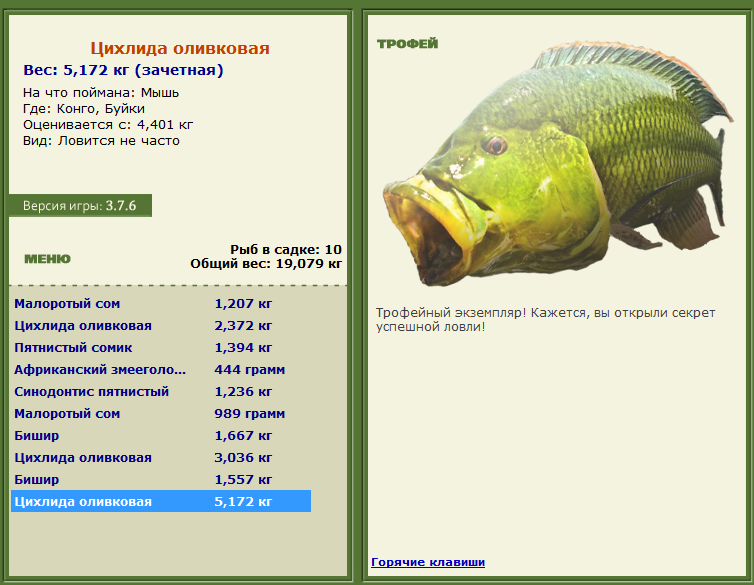 турниры • РУССКАЯ РЫБАЛКА