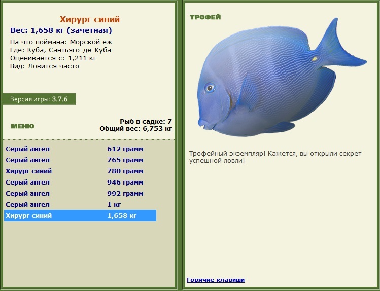 Хирург синий 