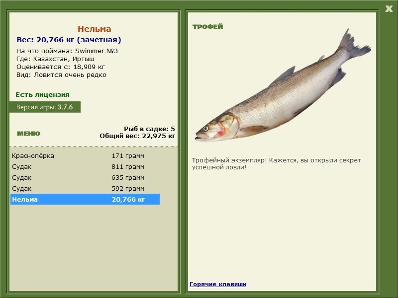 Swimmer 