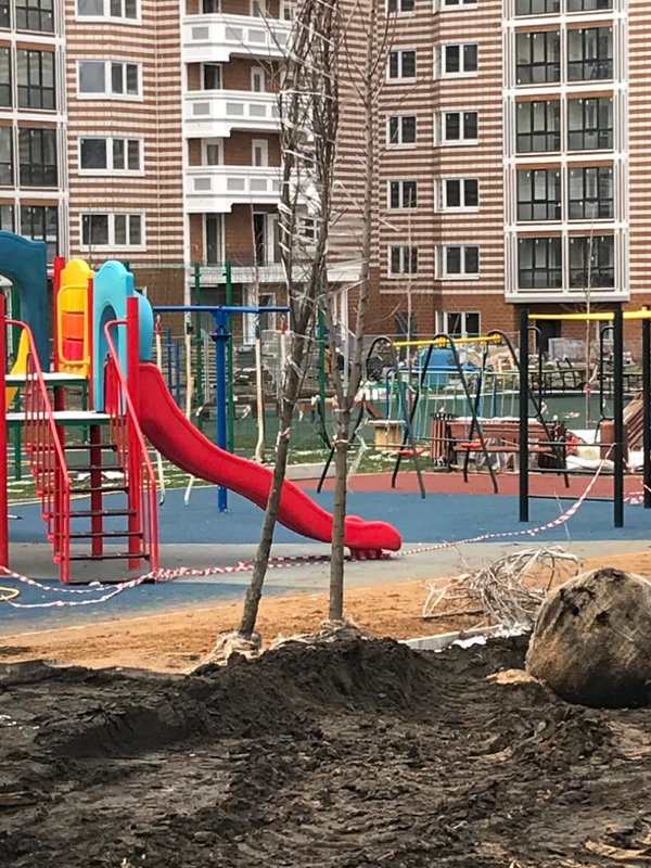  Ответить