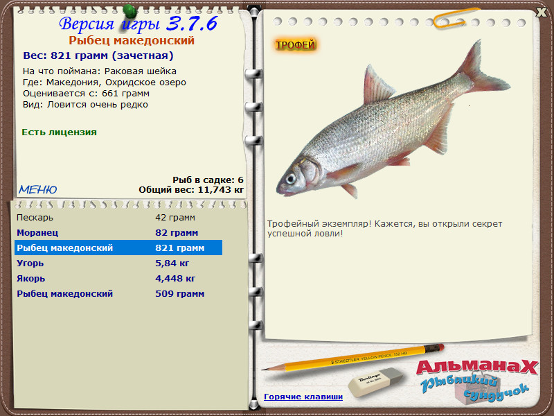 Рыбец македонский 