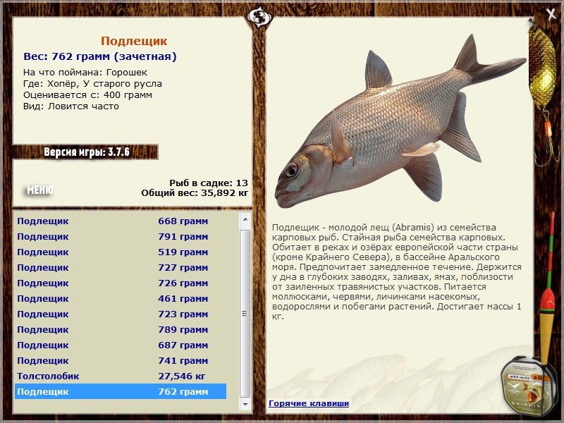 У старого русла 