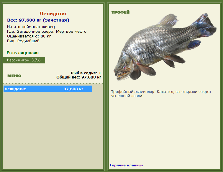 турниры • РУССКАЯ РЫБАЛКА