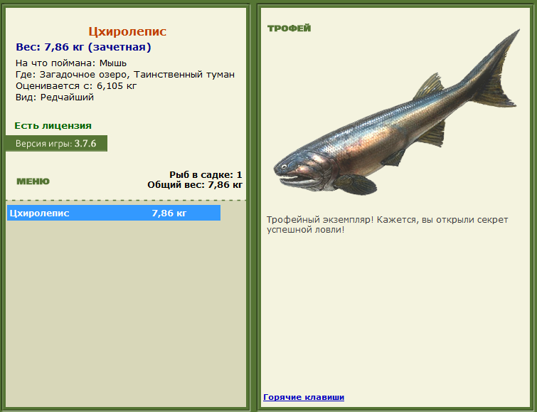 турниры • РУССКАЯ РЫБАЛКА