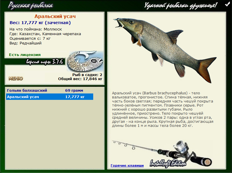 турниры • РУССКАЯ РЫБАЛКА