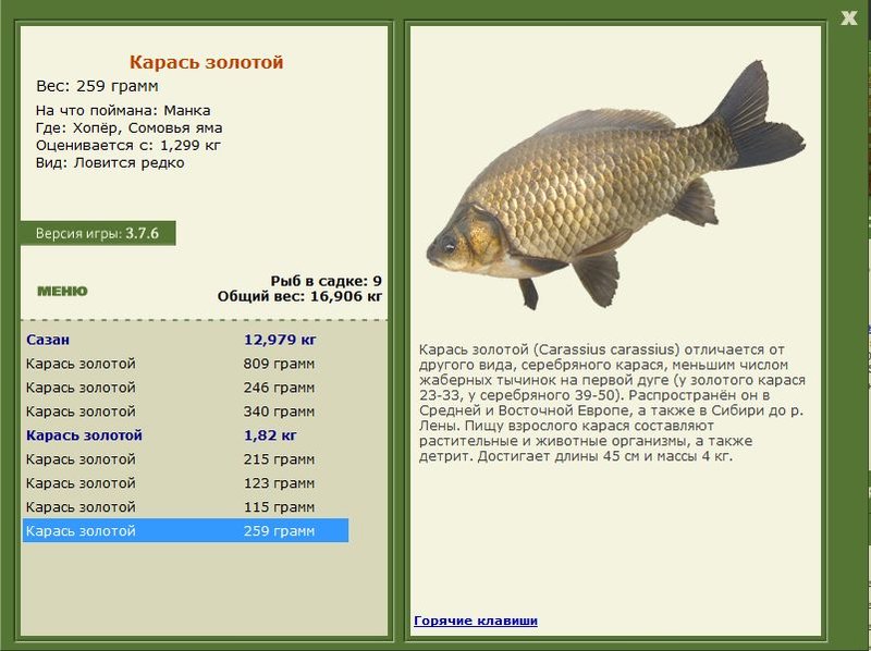 РУССКАЯ РЫБАЛКА Installsoft Edition 