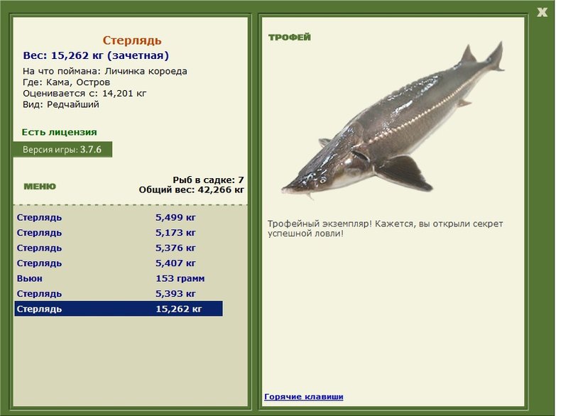 Остров 