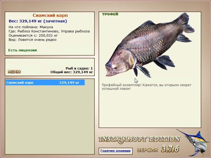 Сиамский карп