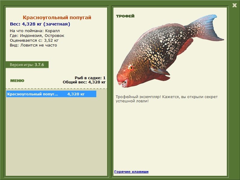 Красноугольный попугай 