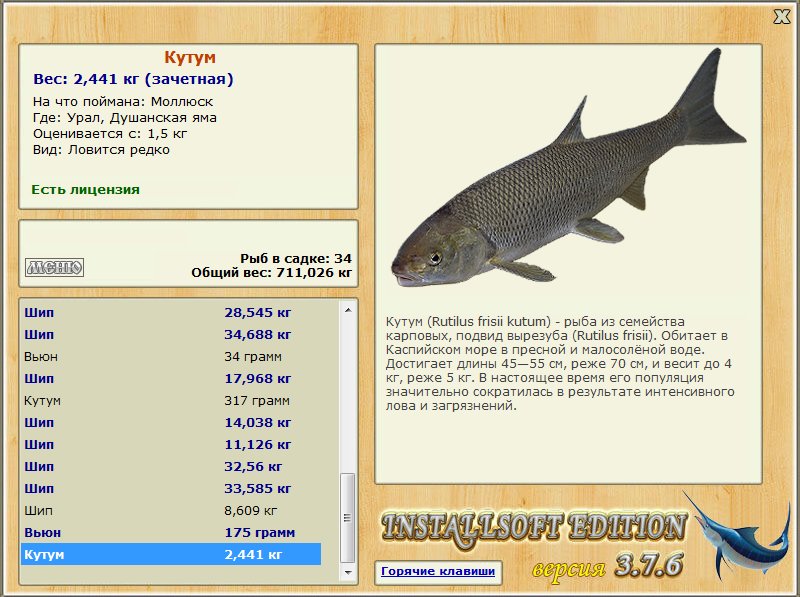 In Dagestan can prohibit the catch of kutum. The population of Kutum in the Casp