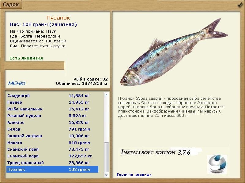 Переволоки 
