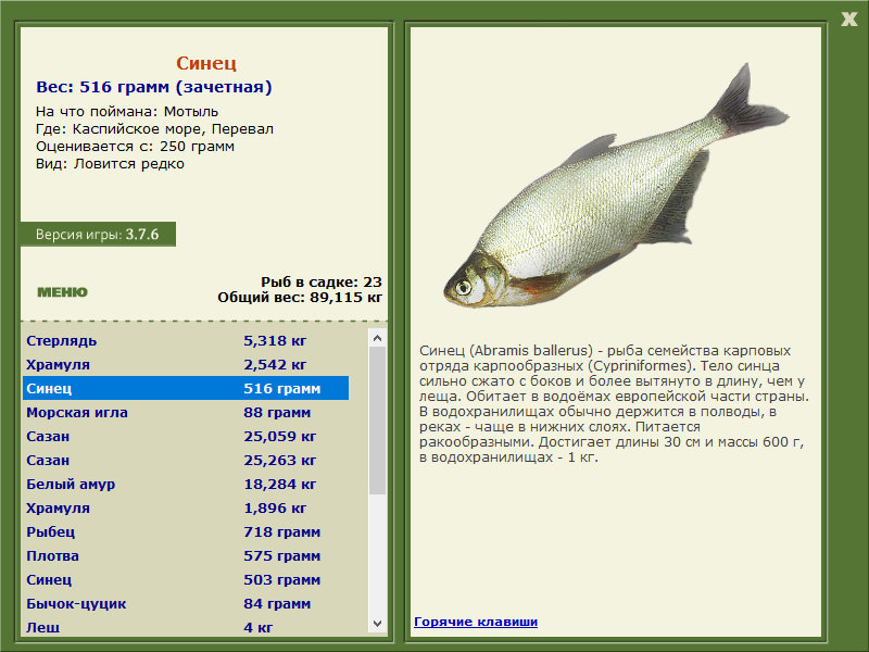 Каспийское море 